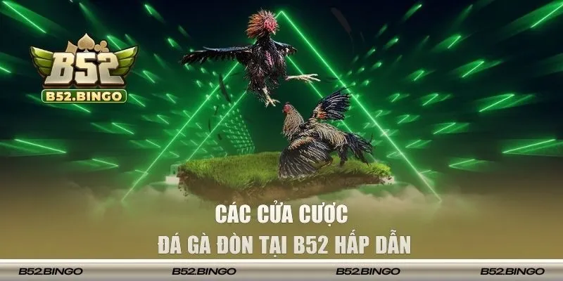 Các cửa bỏ vốn cược chiến kê hấp dẫn