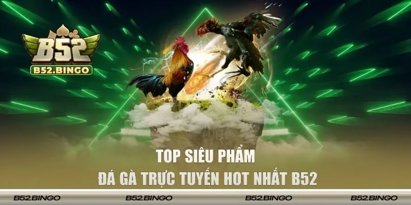 Tổng hợp top hình thức chọi chiến kê cuốn hút